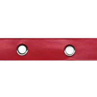 Wrights Leather Band with Grommets - 1/2"
