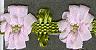 JKM Poly Flower Garland Trim - 1/2" Width