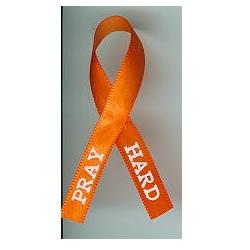 Awareness Ribbon  Orange Awareness Ribbon with Brass Pin – JKM Ribbon &  Trims