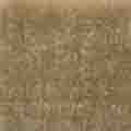 Morex Stretch Velvet – Fabric Velvet