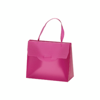 JKM Plastic HandBag Box with Ribbon Handle