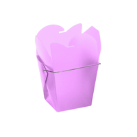 JKM Take Out Boxes - Frosted Plastic
