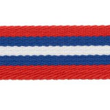 Wrights Striped Belting - 1"
