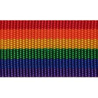 Wrights Rainbow Belting - 1 1/2"