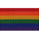 Wrights Rainbow Belting - 1 1/2"