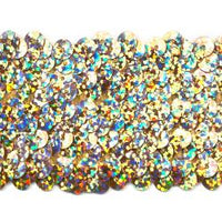 Wrights Stretch Sequins - 1 3/4"