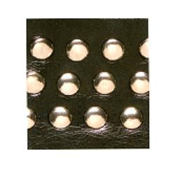 Wrights Studded Pleather - 1 3/4"