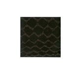 Wrights Faux Snakeskin - 1 1/2"