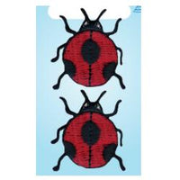 Wrights Large Ladybug