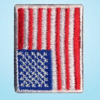 Wrights Small American Flag