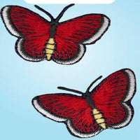 Wrights Small Butterfly