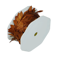 JKM Leaf Ribbon