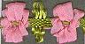 JKM Poly Flower Garland Trim - 1/2" Width