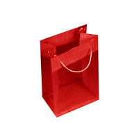 JKM Sheer Tote Gift Bags