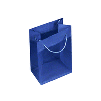JKM Sheer Tote Gift Bags