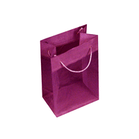 JKM Sheer Tote Gift Bags