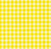 JKM Gingham Double Needle Belting - 1" Width