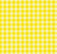 JKM Gingham Double Needle Belting - 1" Width