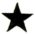 JKM 3 1/2" Star Applique (Iron On)