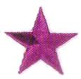 JKM 1 1/2" Star Applique (Iron On)