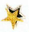 JKM Black and Gold Small Stars Applique (Stick On)