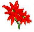 JKM Small Poinsettia Applique (Iron On)