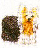 JKM Small Dog with Golden Face Applique (Iron On)