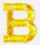 JKM Gold 2" Letter (Iron On)