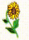 JKM Small Sunflower on Stem Applique (Iron On)