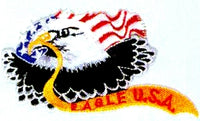 JKM Eagle with Eagle USA Ribbon Applique (Iron On)