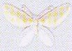 JKM Medium Butterfly Applique (Iron On)
