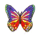 JKM Small Multi Butterfly Applique (Stick On)