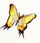 JKM Yellow/Black/Silver Butterfly Applique (Stick On)