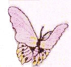 JKM Lavender Butterfly Applique (Stick On)