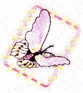 JKM Lavender Butterfly in Frame Applique (Stick On)