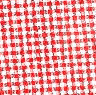 JKM Gingham Bias Tape Fabric - 60" Width