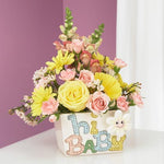 JKM Hi Baby Musical Planter