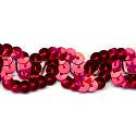 Wrights Sequin Braid - 1 1/4"