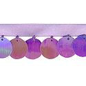 Wrights Paillettes Trim - 1"