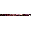 Wrights Parachute Cord
