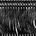 Wrights Fringe 3 1/2 Inch