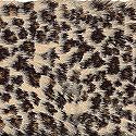 Wrights Leopard Fur Trim 4 Inch
