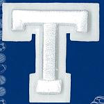 Wrights Letter T Raised Embroidery