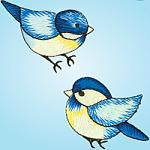 Wrights Blue Birds
