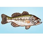 Wrights Fish