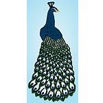 Wrights Peacock