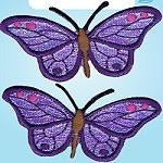 Wrights Field Butterfly Purple