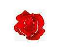 JKM Rose Bloom Applique (Stick On)