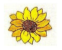 JKM Single Sunflower Applique (Stick On)