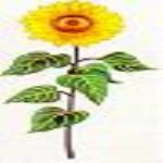 JKM Large Sunflower Applique (Stick On)